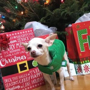 Dog Vest Jacket small breed chihuahua Christmas holiday